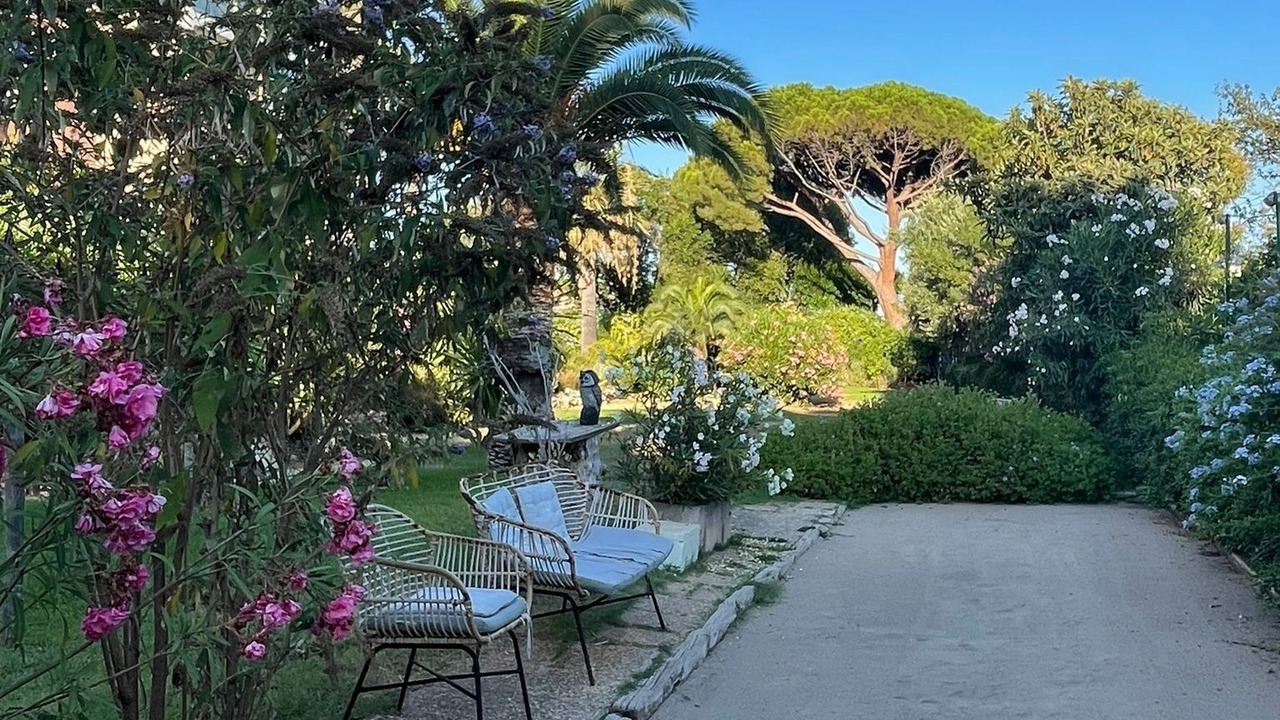 Photo of Patio Balcony in Cannes La Bocca