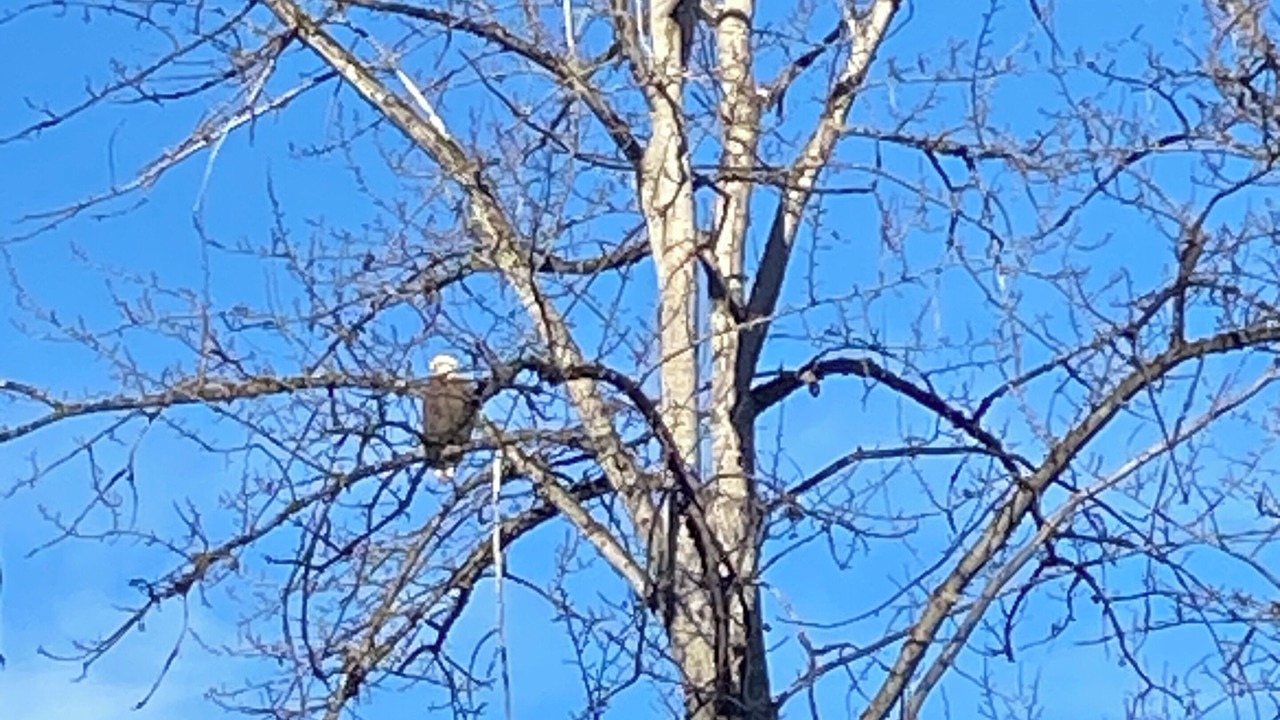 Photo of Others in Kooskia