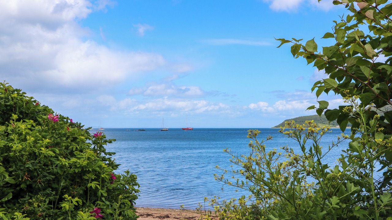 Photo of Others in Lamlash
