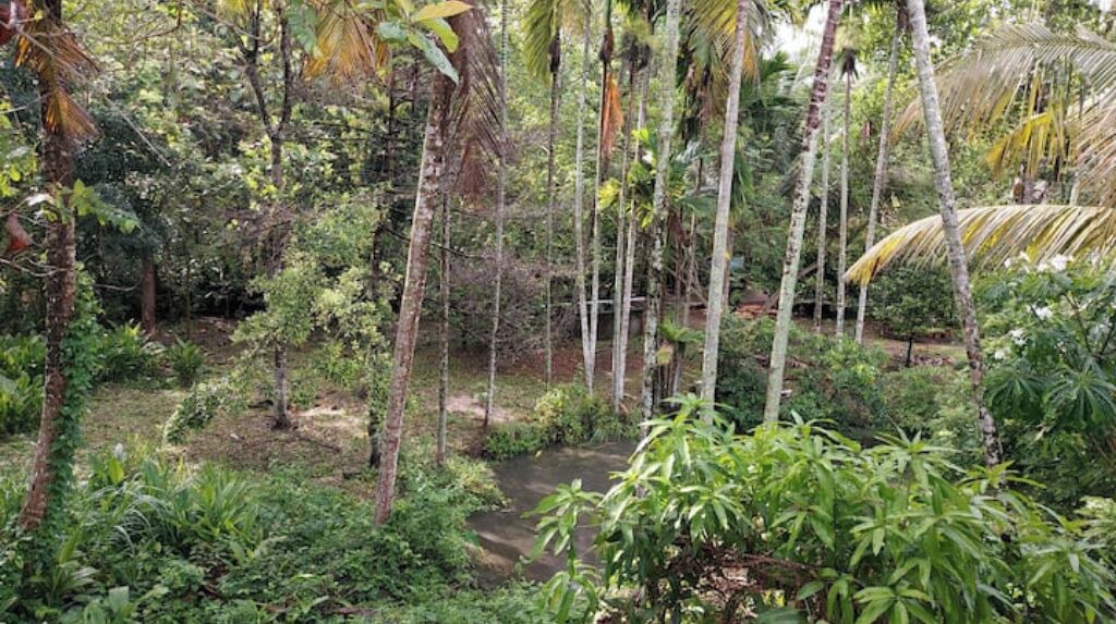 Photo of Outdoor in Alappuzha