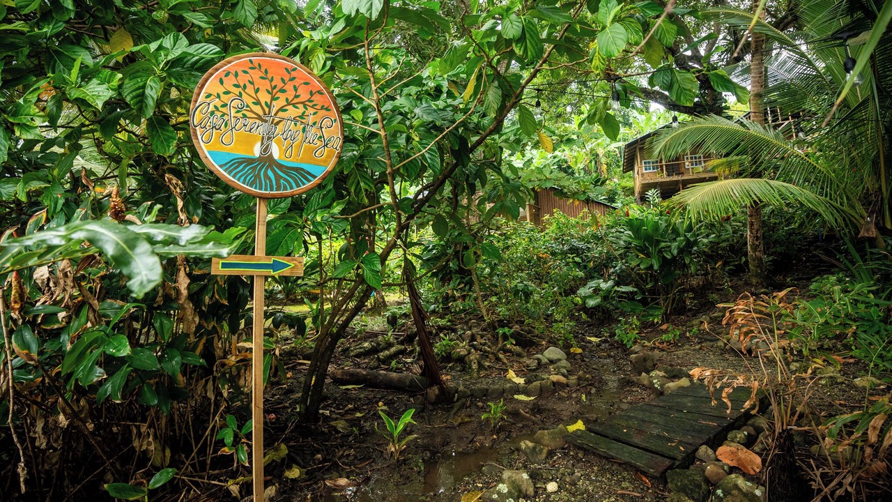 Photo of Outdoor in Isla Bastimentos