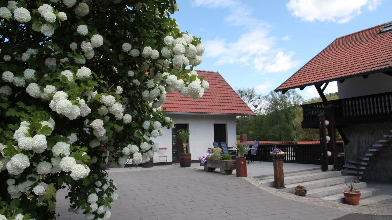 Photo of Outdoor in Melkers