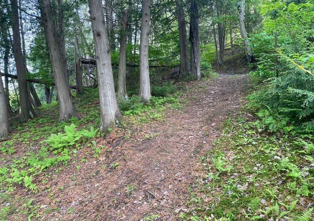 Photo of Outdoor in Nipissing