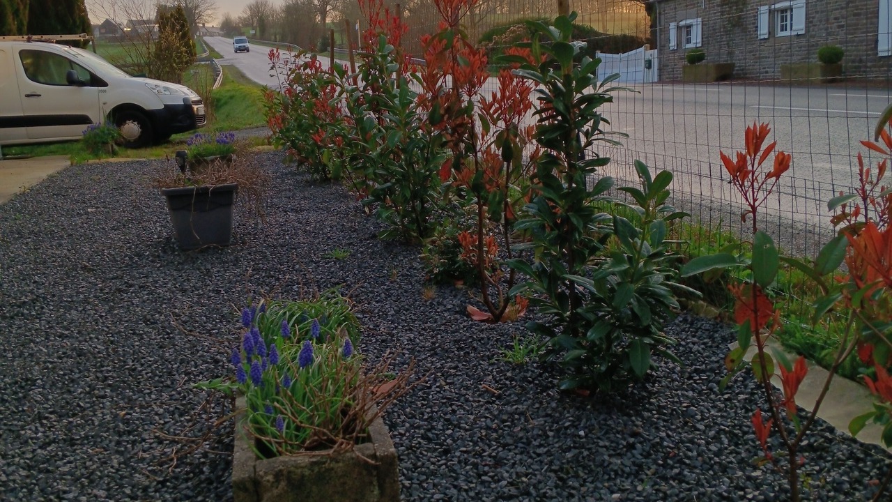 Photo of Outdoor in Fleury