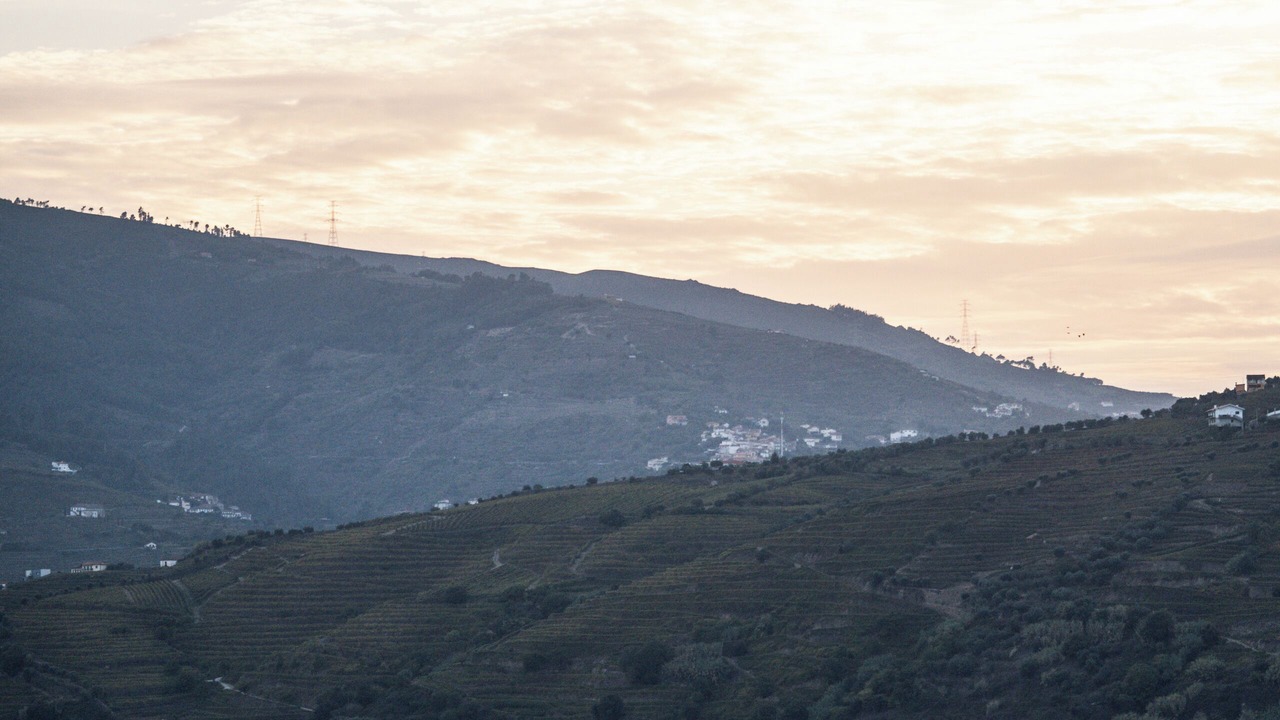Photo of Others in Peso da Regua