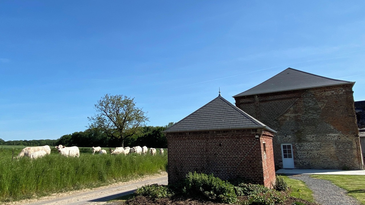 Photo of Outdoor in Landouzy-la-Cour