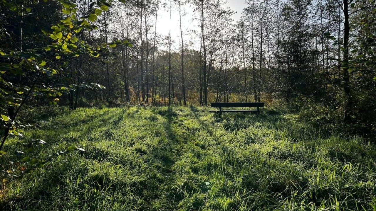 Photo of Others in Menaldum