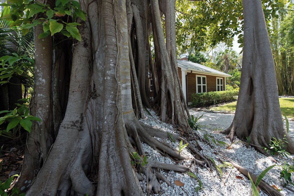 Photo of Outdoor in Indian Beach Sapphire Shores