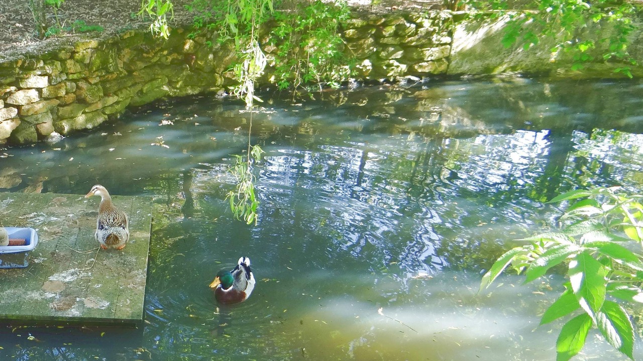 Photo of Others in Boissy-les-Perche