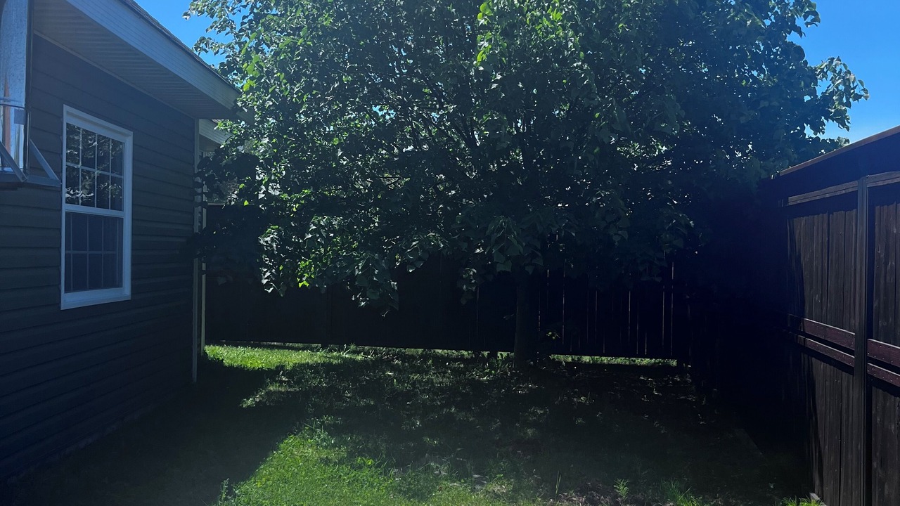 Photo of Outdoor in Deer Lake