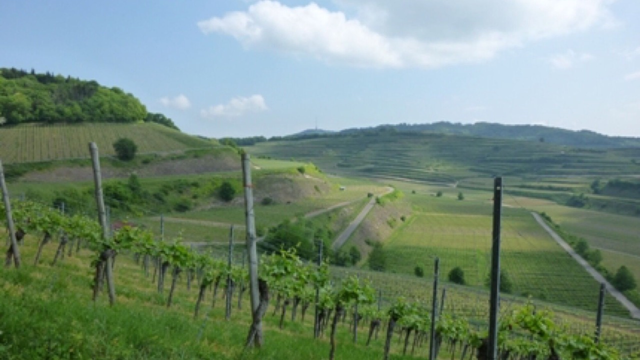 Photo of Others in Ihringen