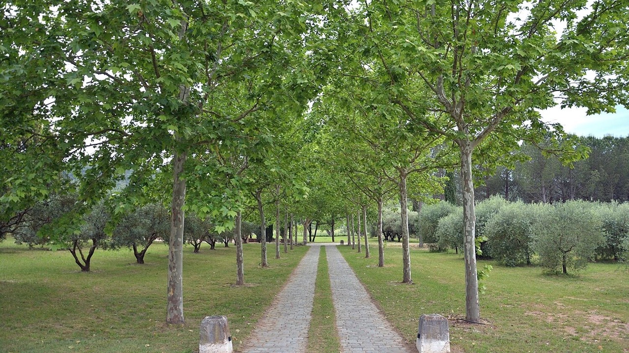 Photo of Others in Les Arcs-sur-Argens