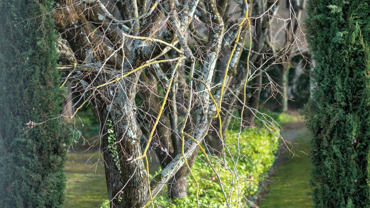 Photo of Outdoor in Barbentane