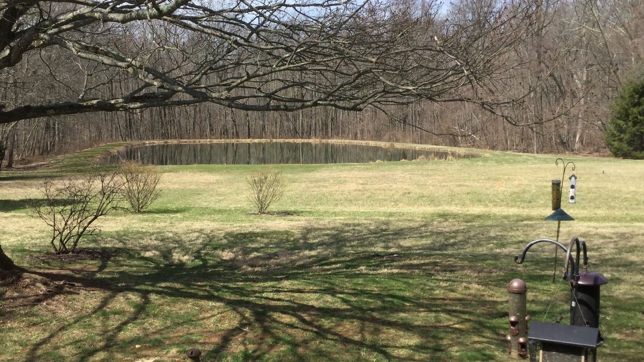 Photo of Outdoor in Quakertown