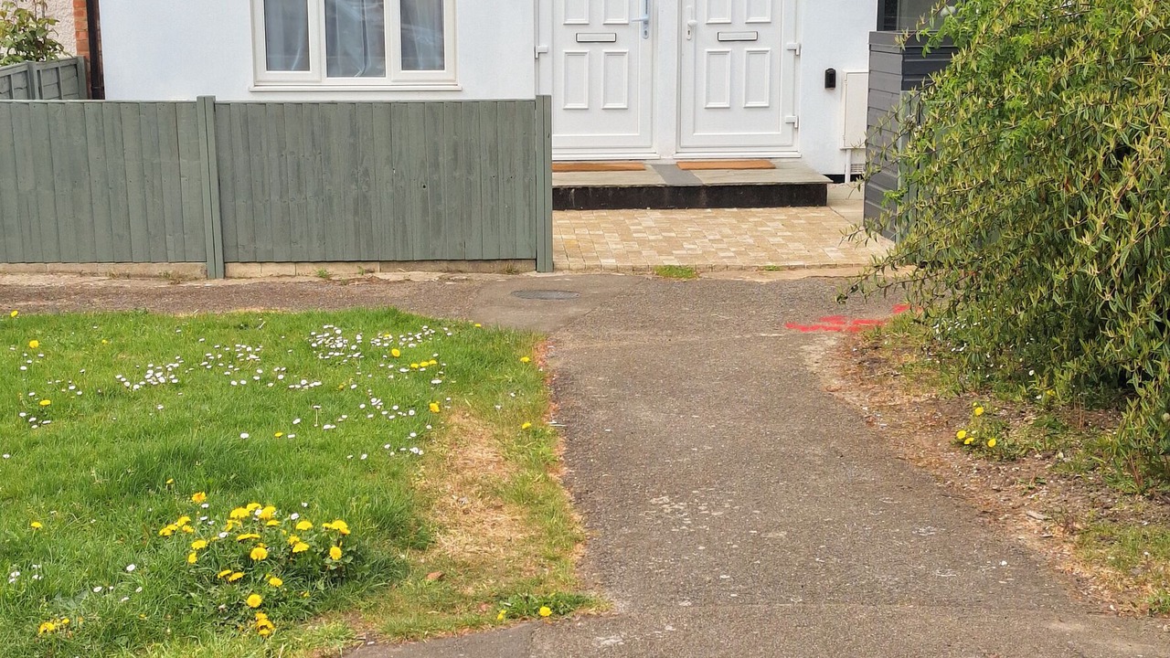 Photo of Others in Ashford