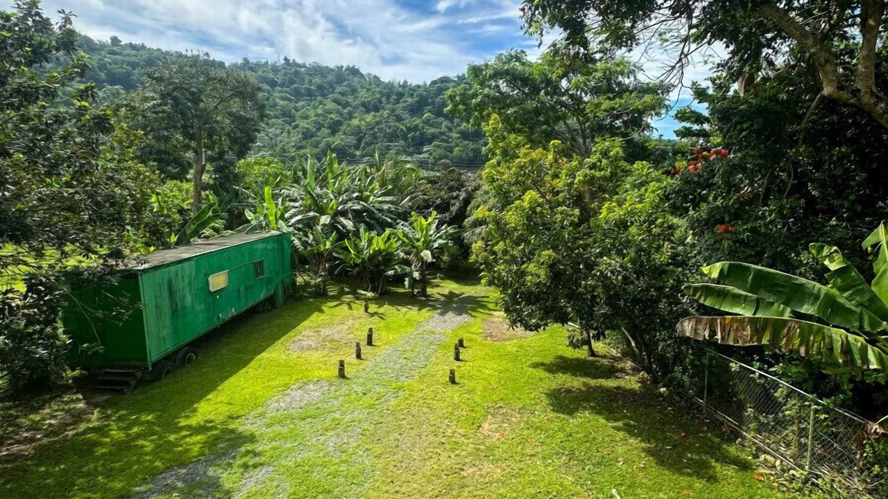 Photo of Outdoor in Salto Abajo