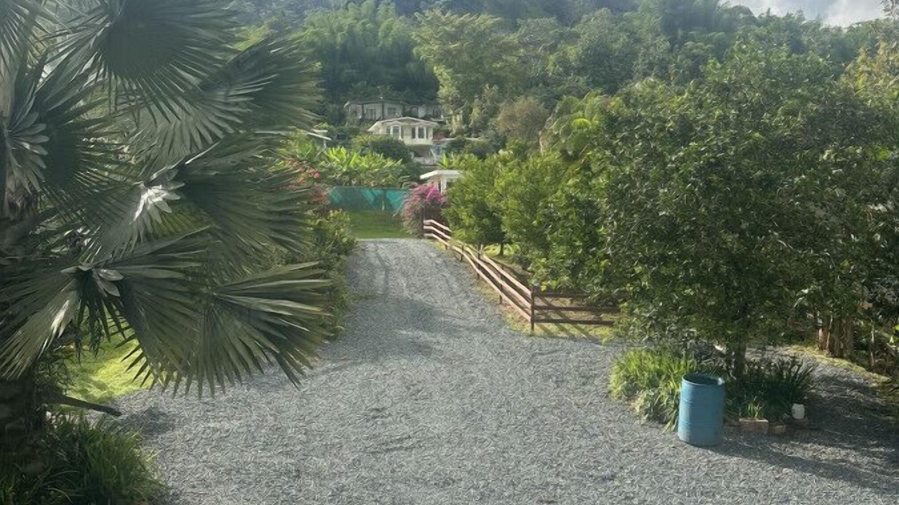 Photo of Outdoor in Salto Abajo