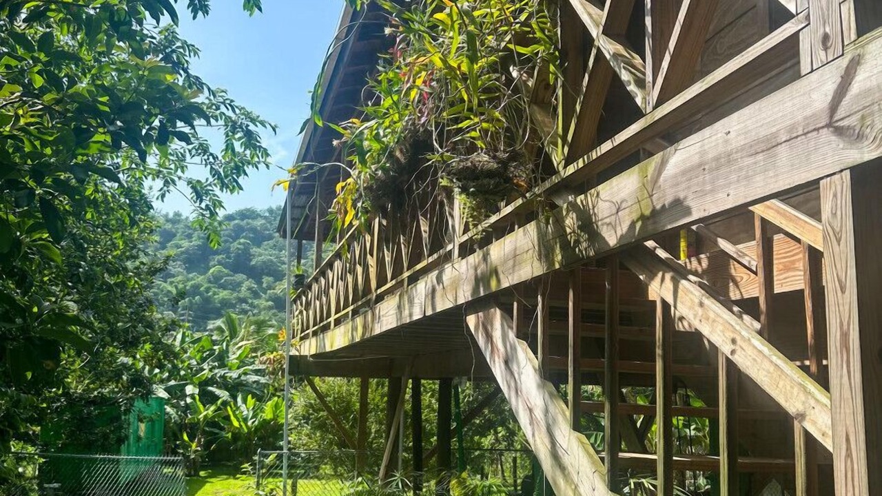 Photo of Outdoor in Salto Abajo