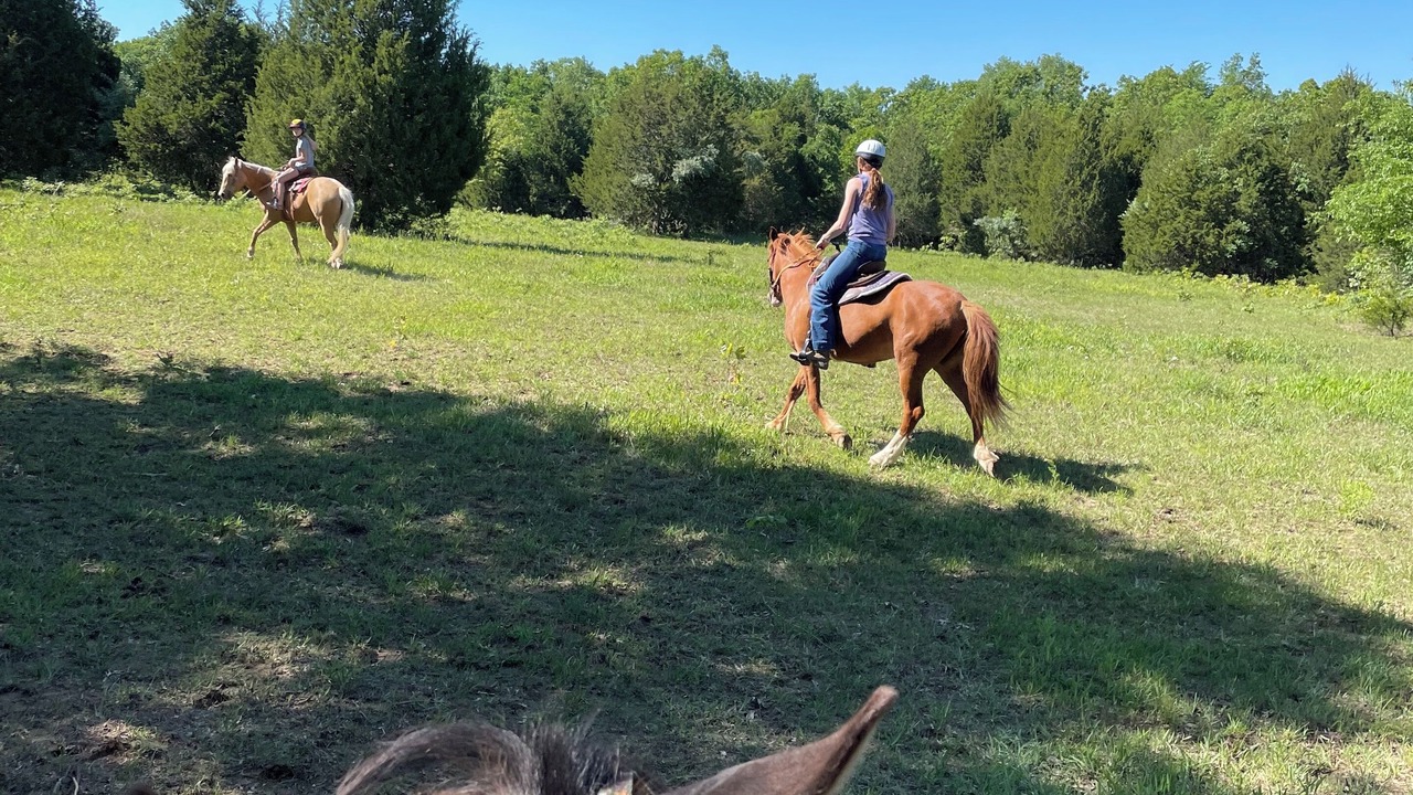Photo of Others in Doe Run