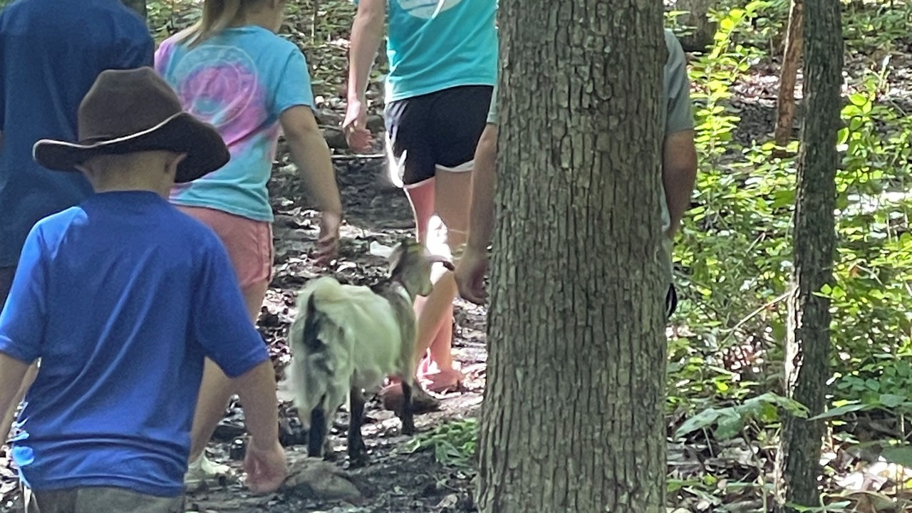 Photo of Outdoor in Doe Run