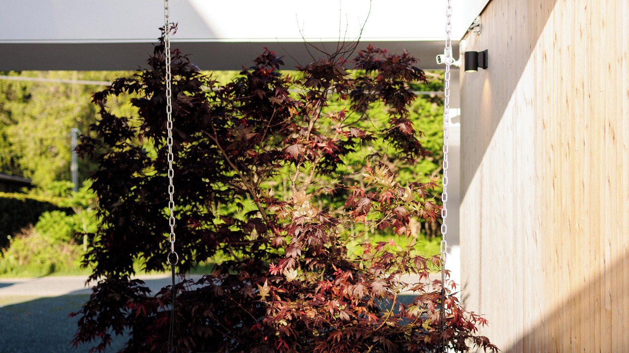 Photo of Patio Balcony in Hope