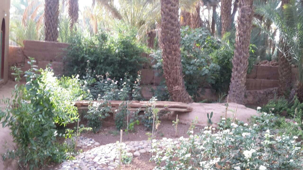 Photo of Others in Amezrou