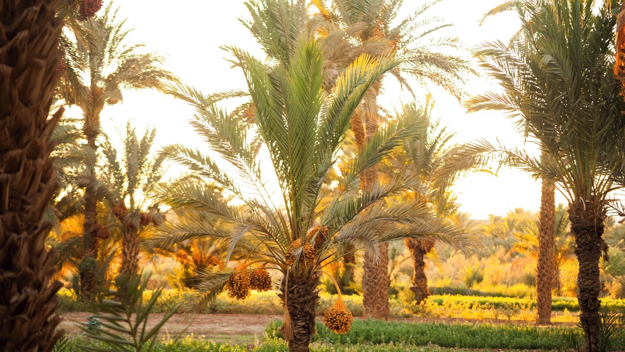 Photo of Outdoor in Amezrou