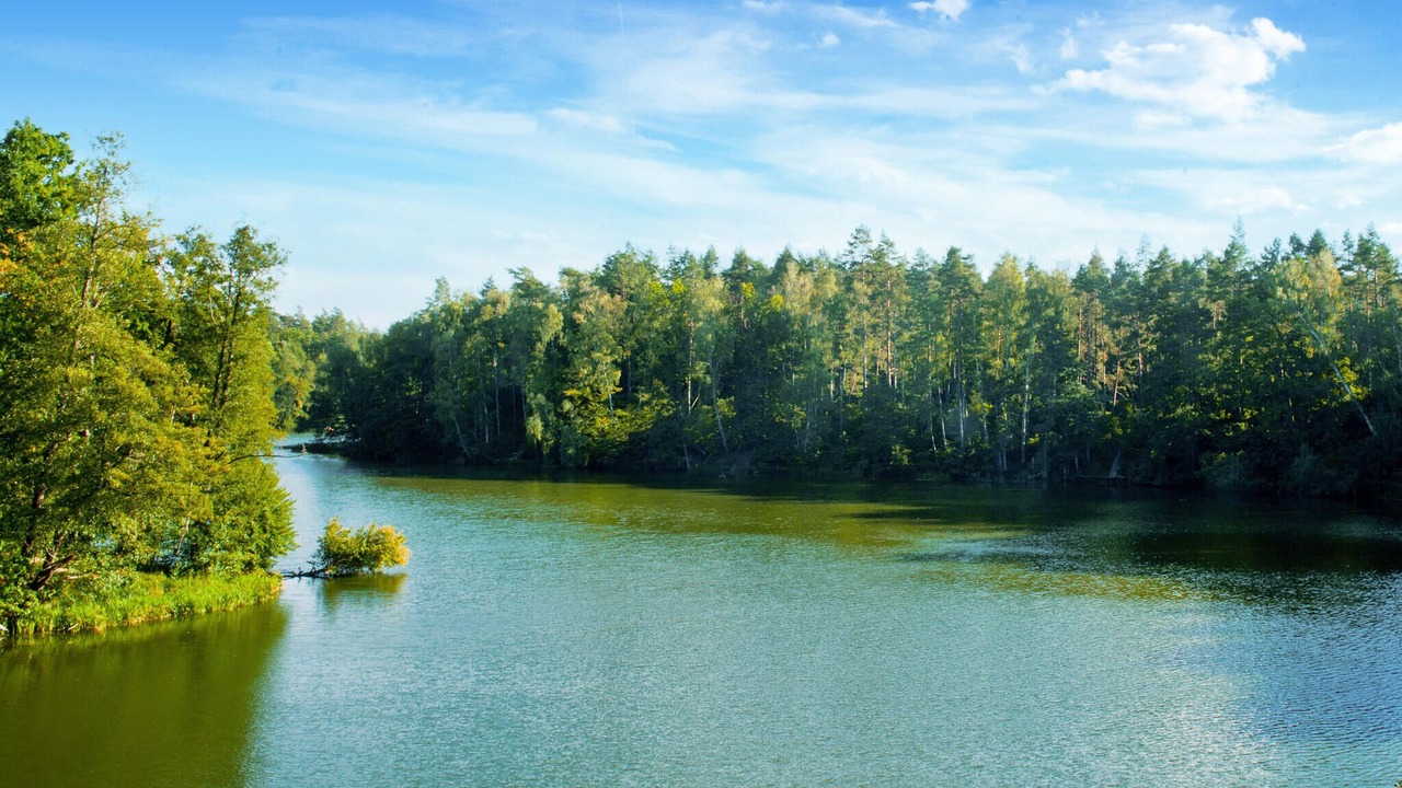 Photo of Others in Tlen