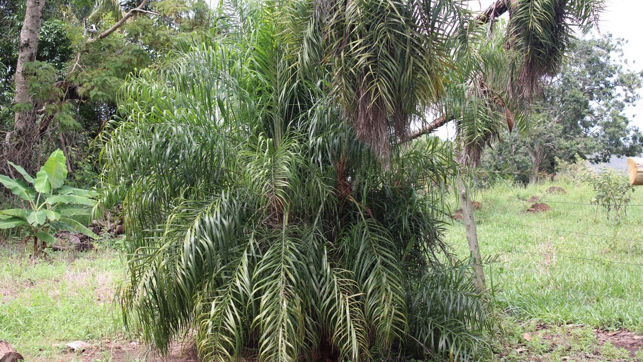 Photo of Outdoor in Alexania