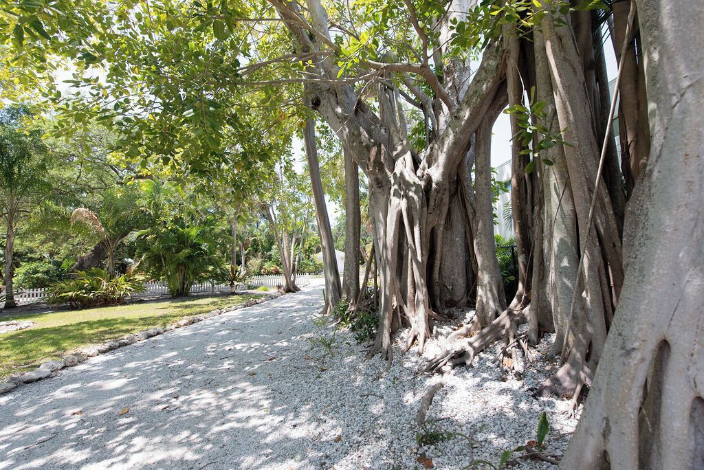 Photo of Outdoor in Indian Beach Sapphire Shores