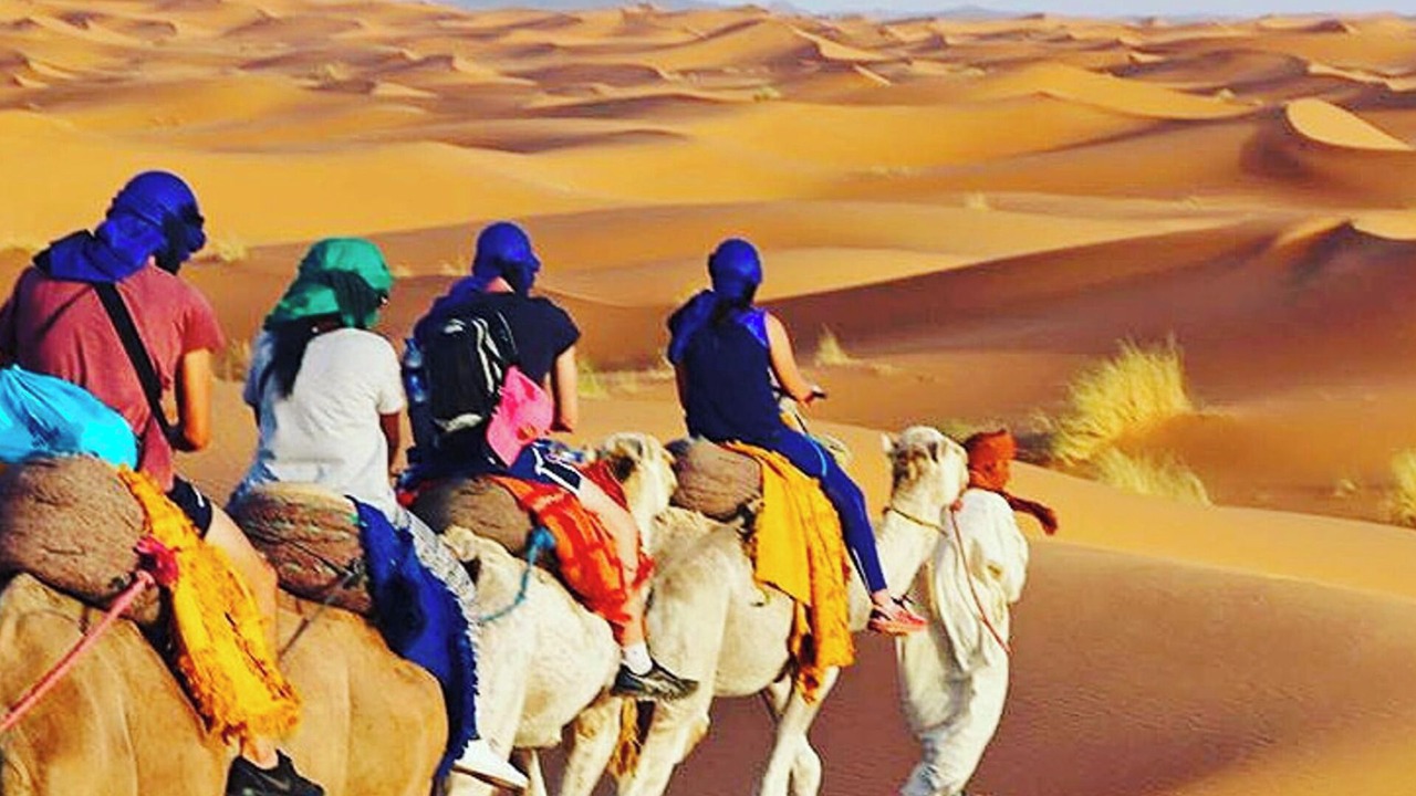 Photo of Others in Taouz
