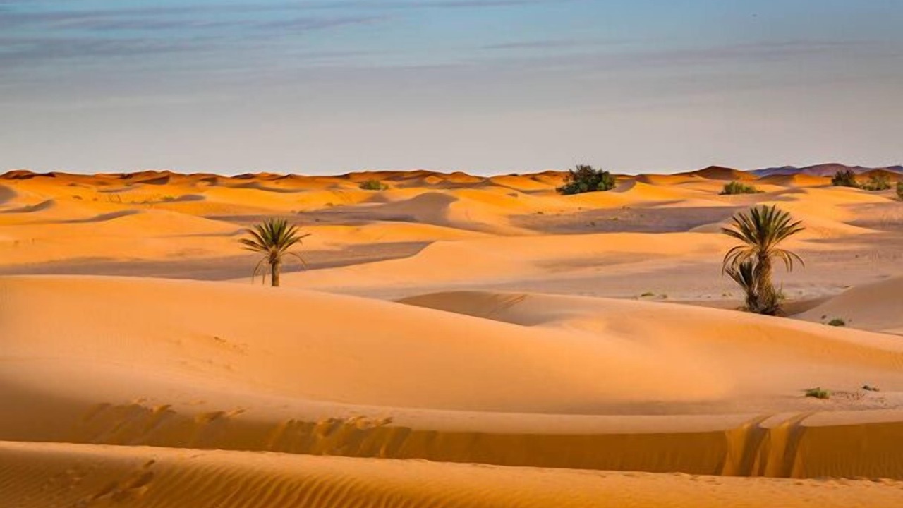 Photo of Others in Taouz