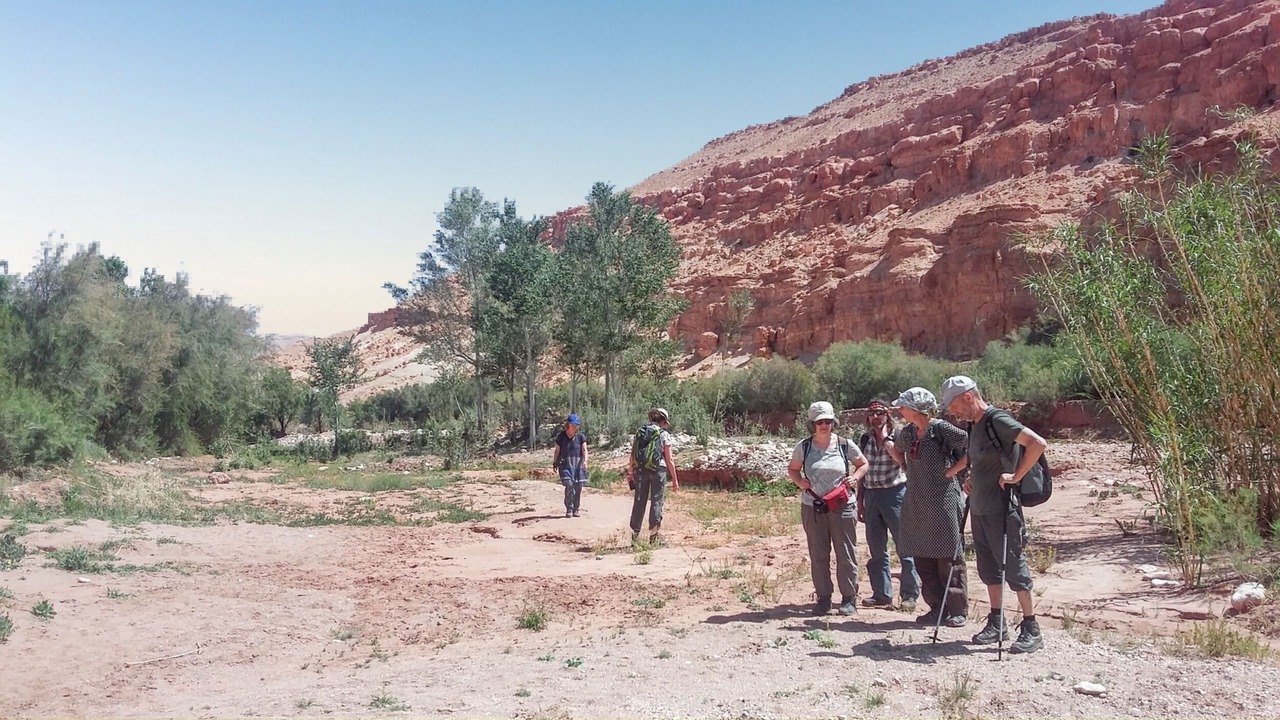 Photo of Others in Tamedakhte