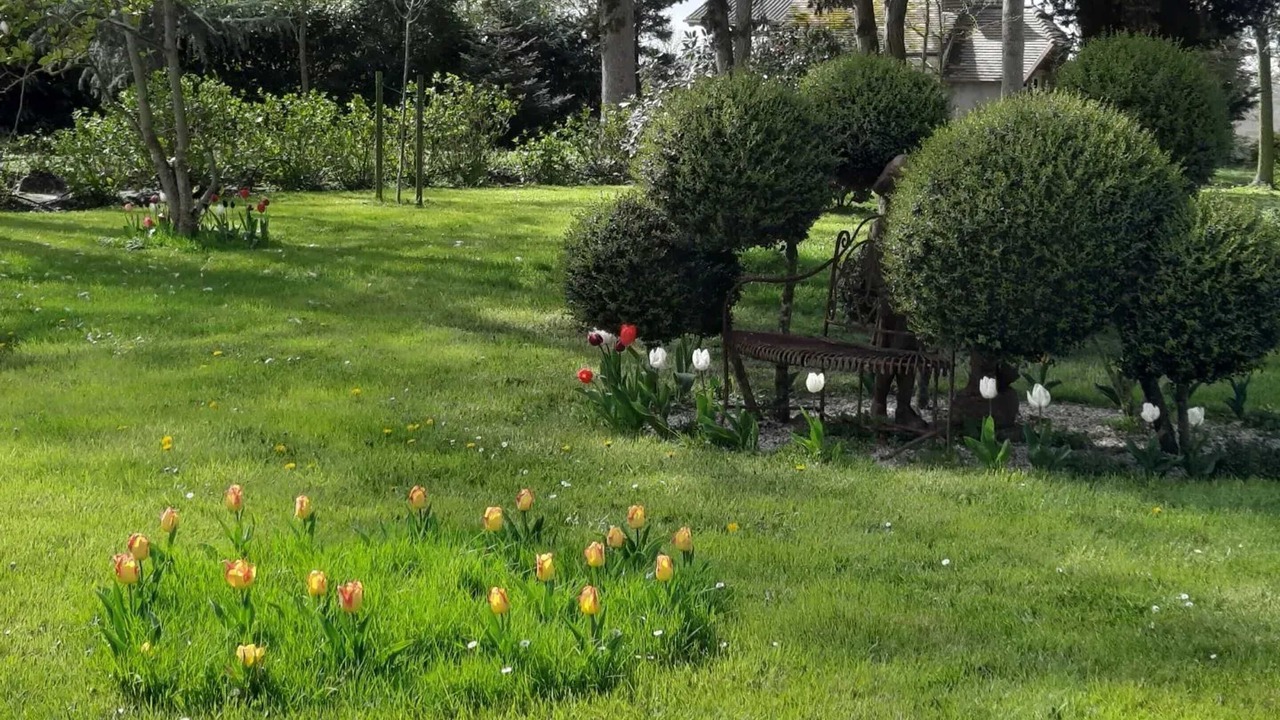 Photo of Outdoor in Saint-Martin-des-Entrees