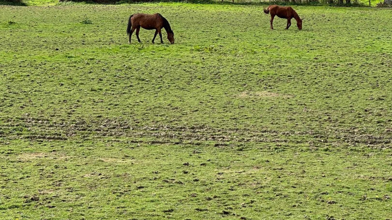 Photo of Outdoor in Saint-Martin-des-Entrees