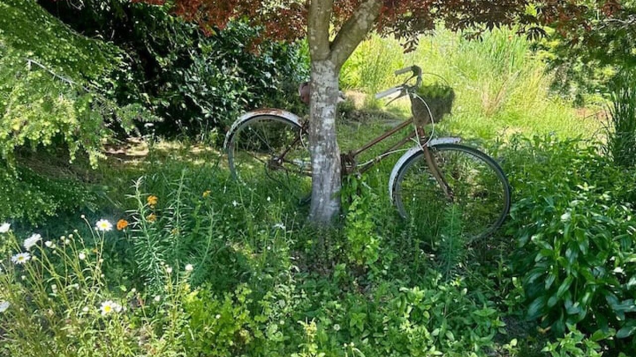Photo of Outdoor in Bowen Island