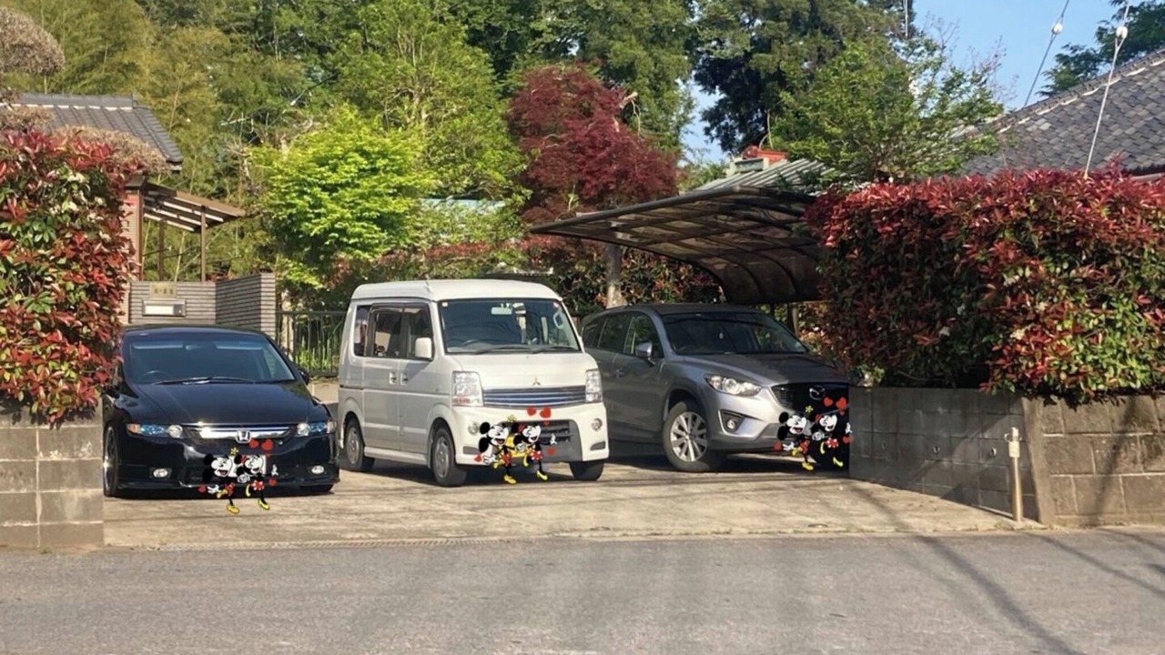 Photo of Outdoor in Sakura