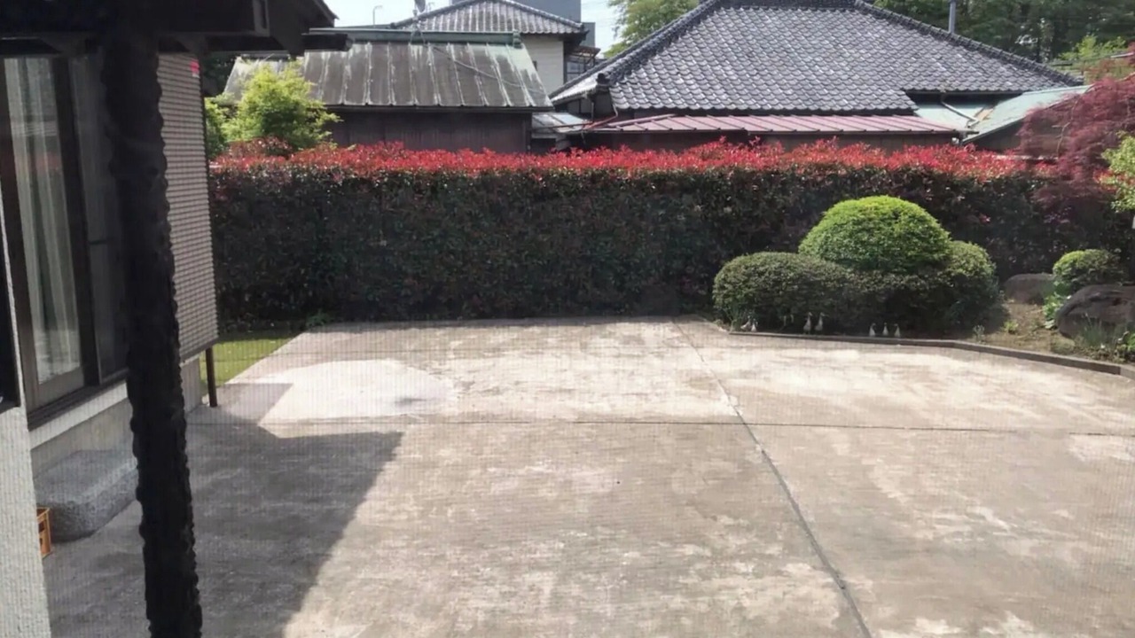 Photo of Outdoor in Sakura
