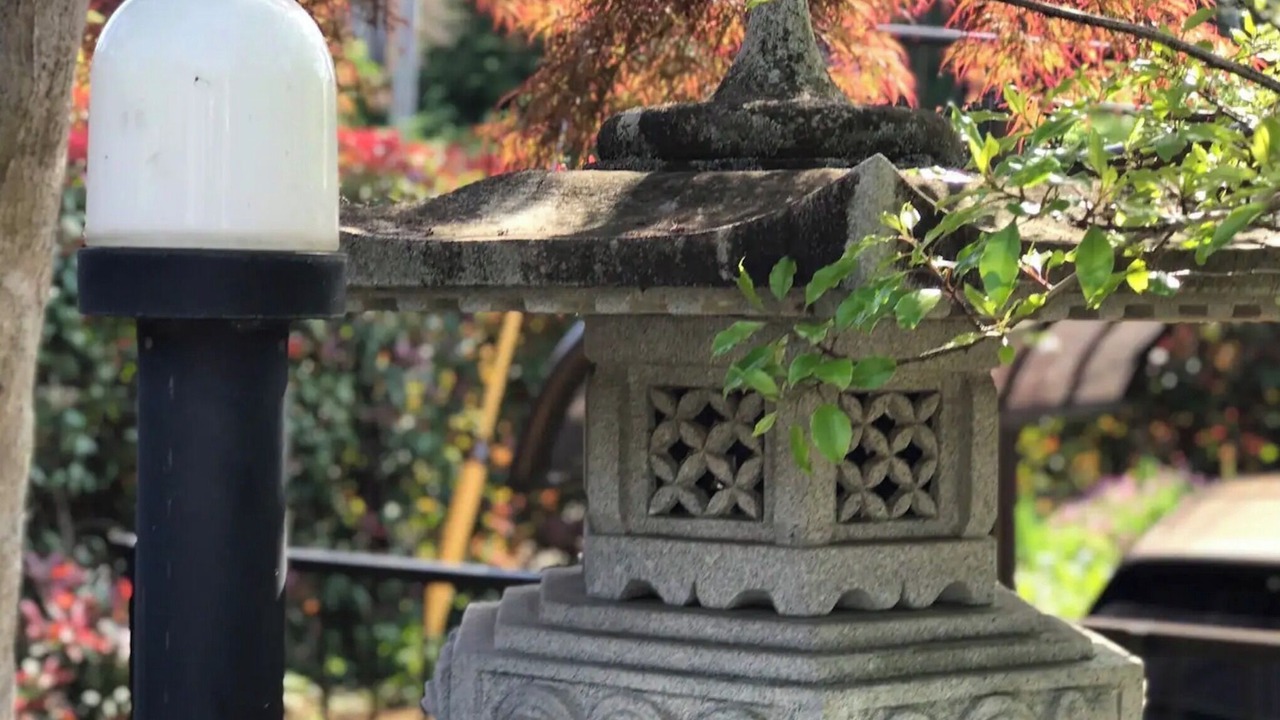 Photo of Outdoor in Sakura