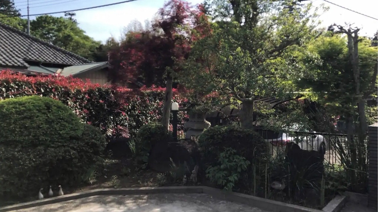 Photo of Outdoor in Sakura