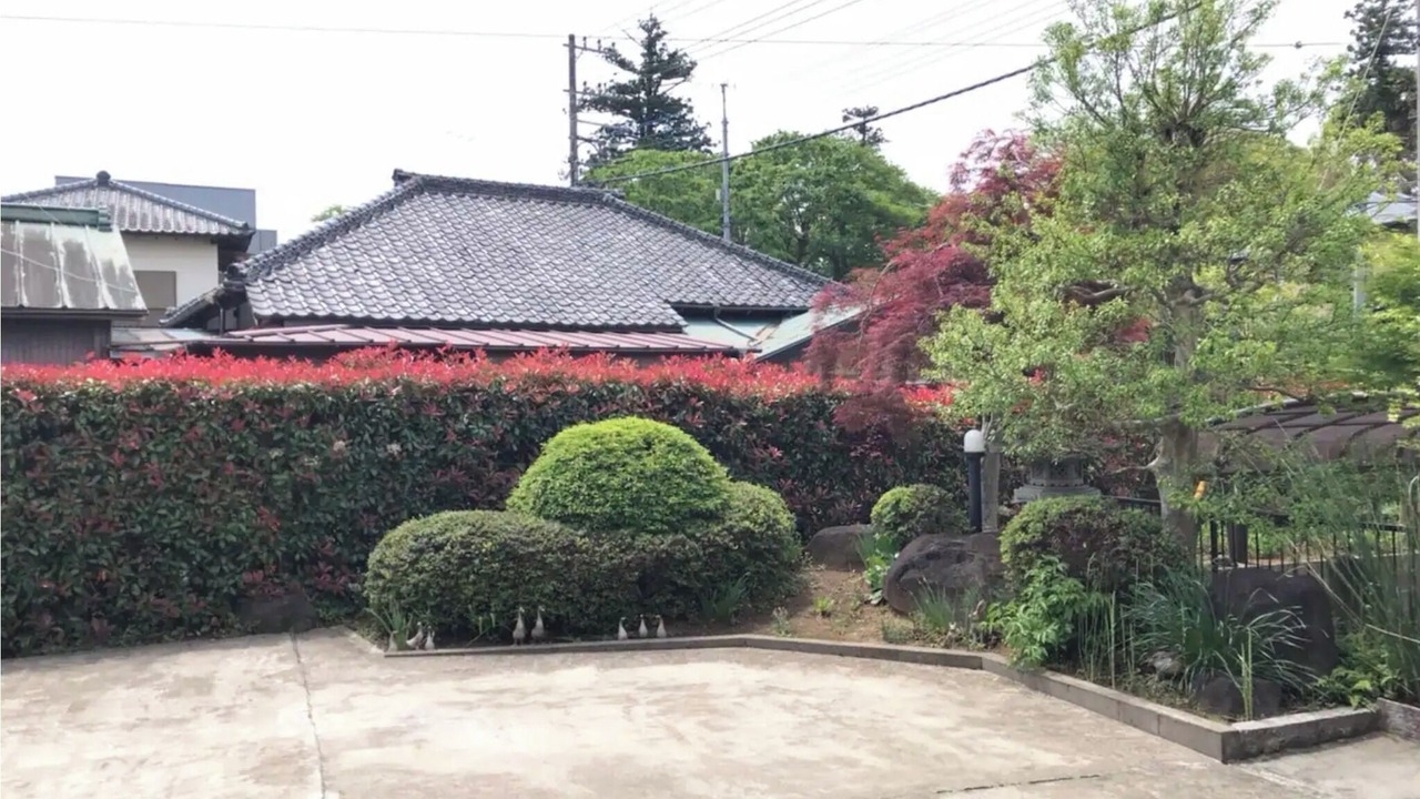 Photo of Outdoor in Sakura