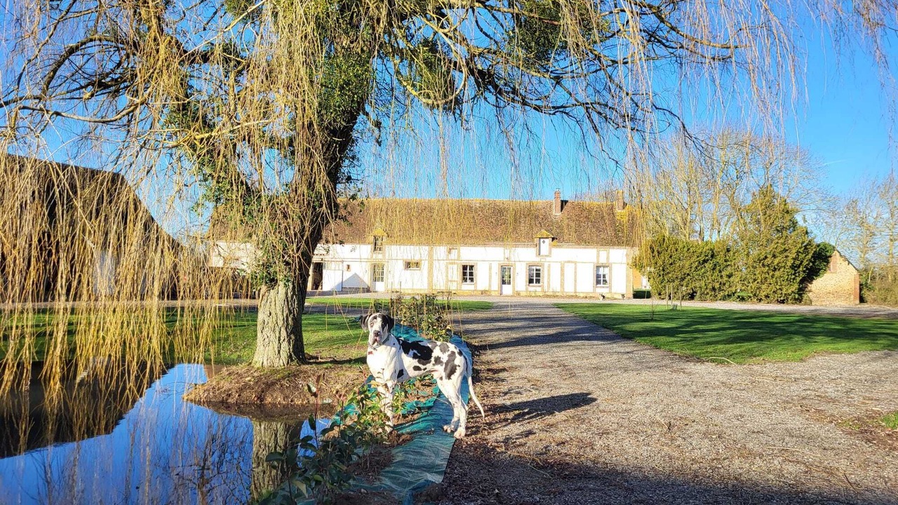 Photo of Outdoor in Mandres