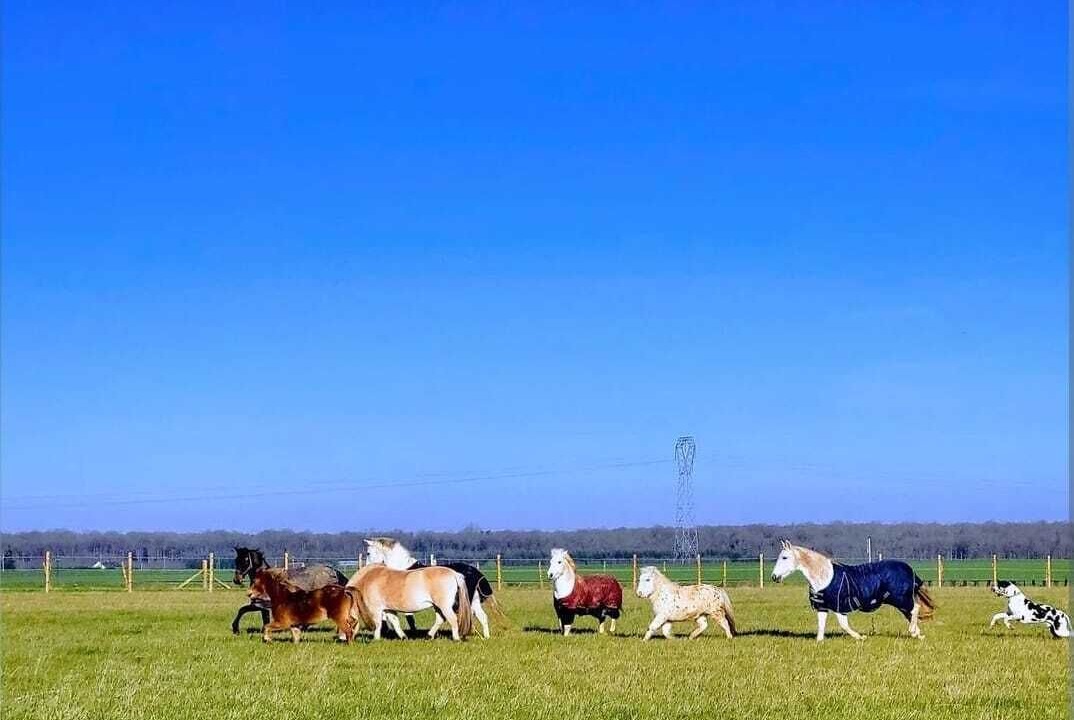 Photo of Outdoor in Mandres