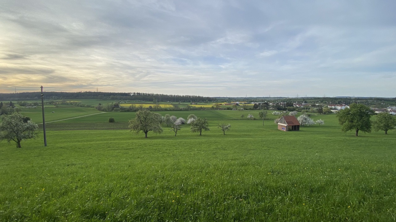 Photo of Others in Balingen