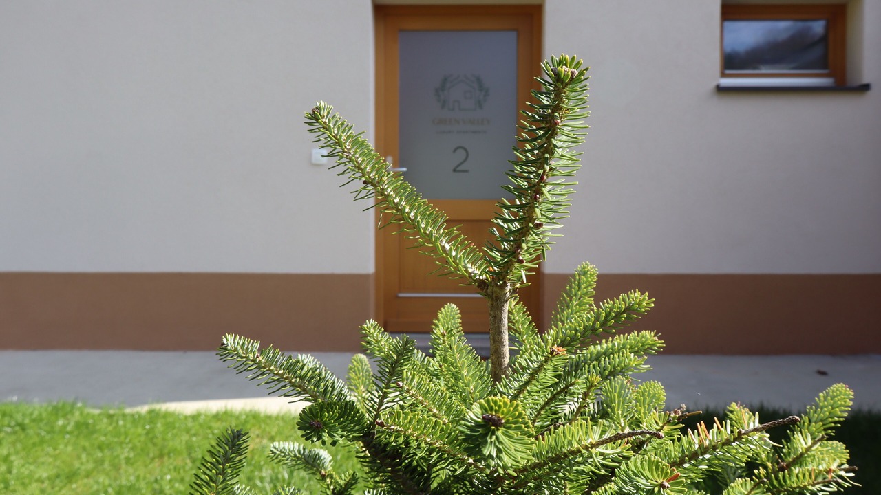 Photo of Outdoor in Zavrc