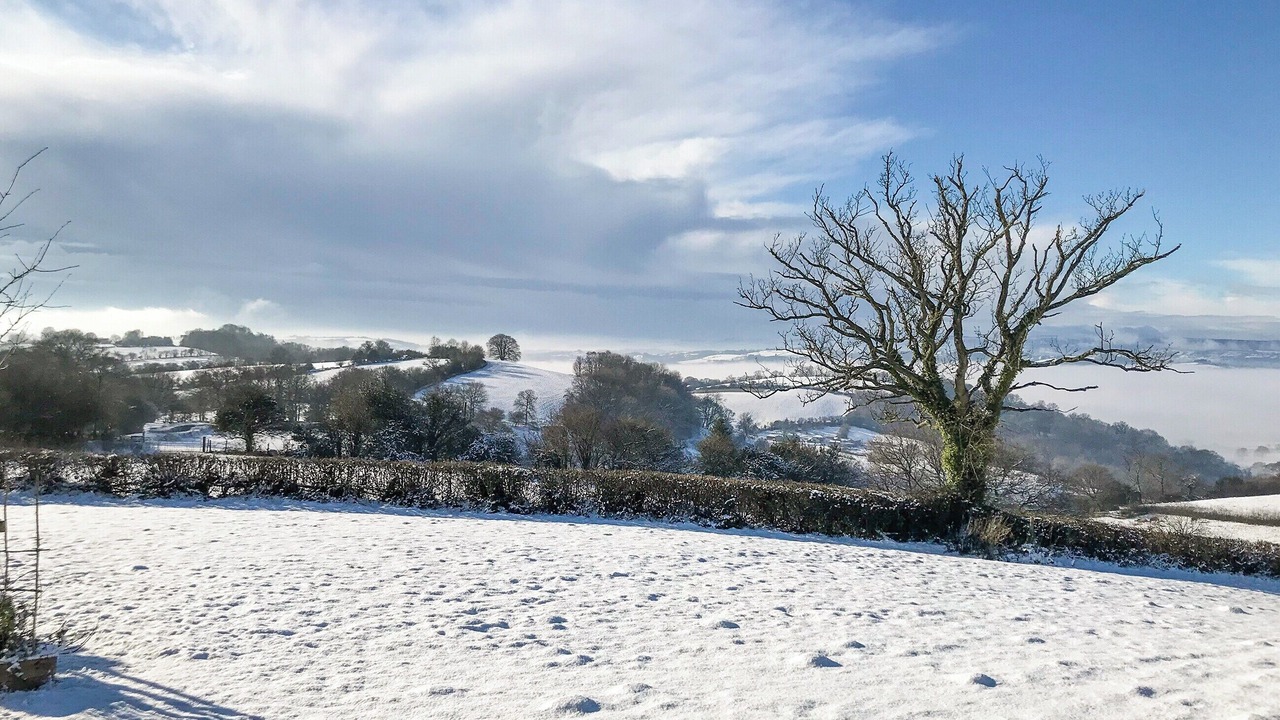 Photo of Others in Usk
