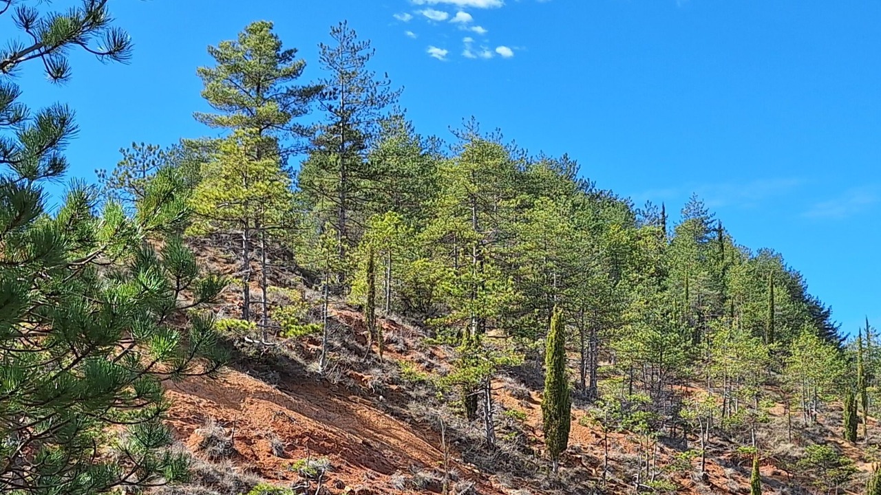 Photo of Outdoor in Arques