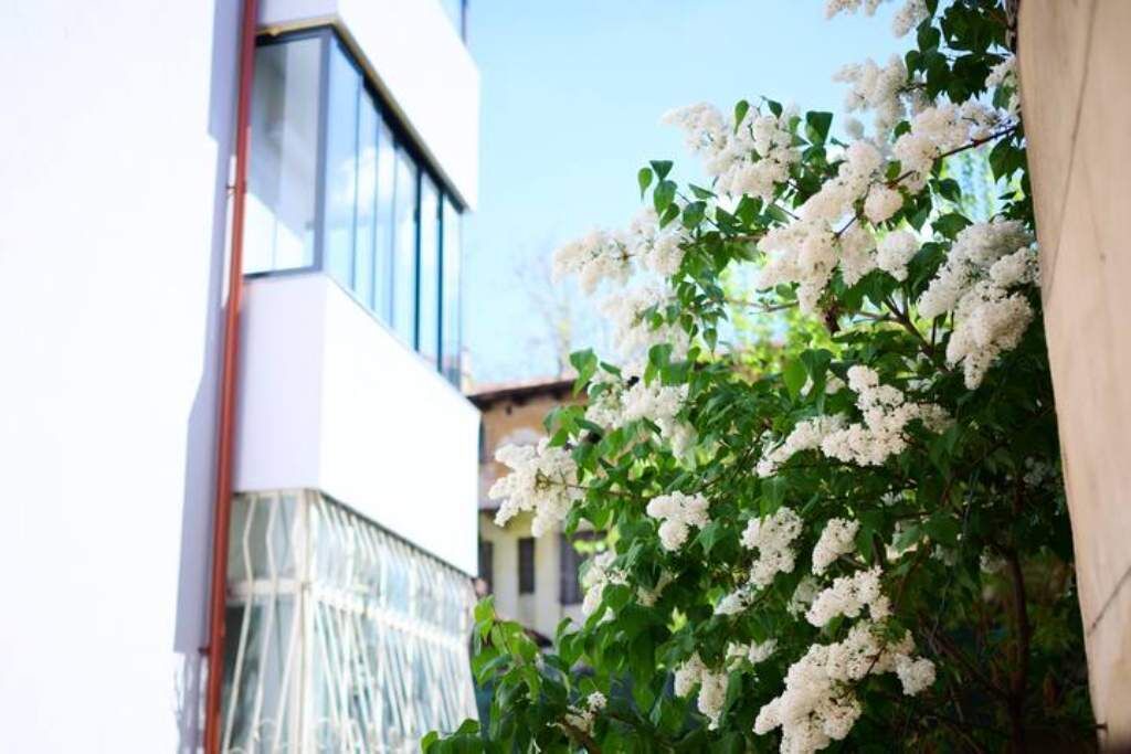 Photo of Outdoor in Bucharest City-Centre