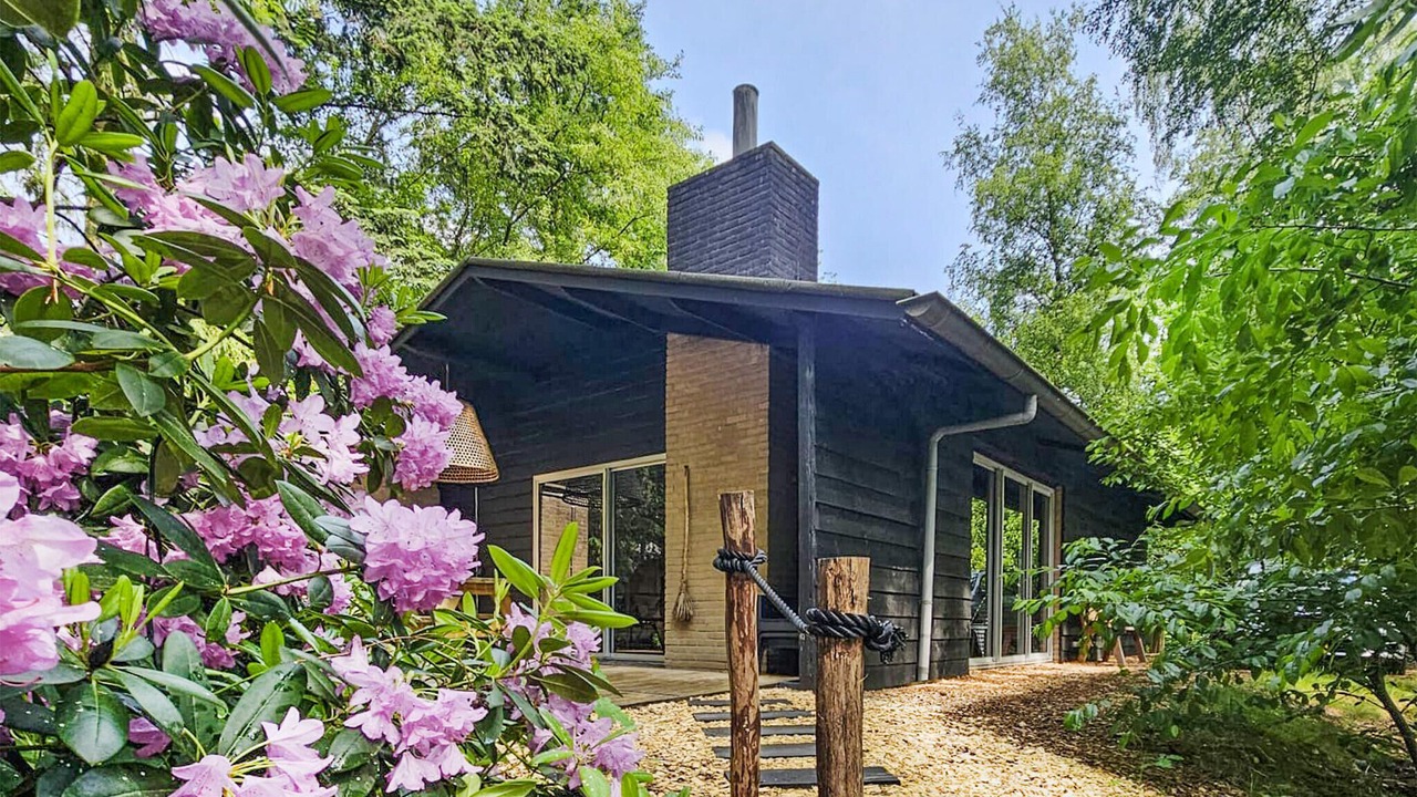 Photo of Others in Rheezerveen