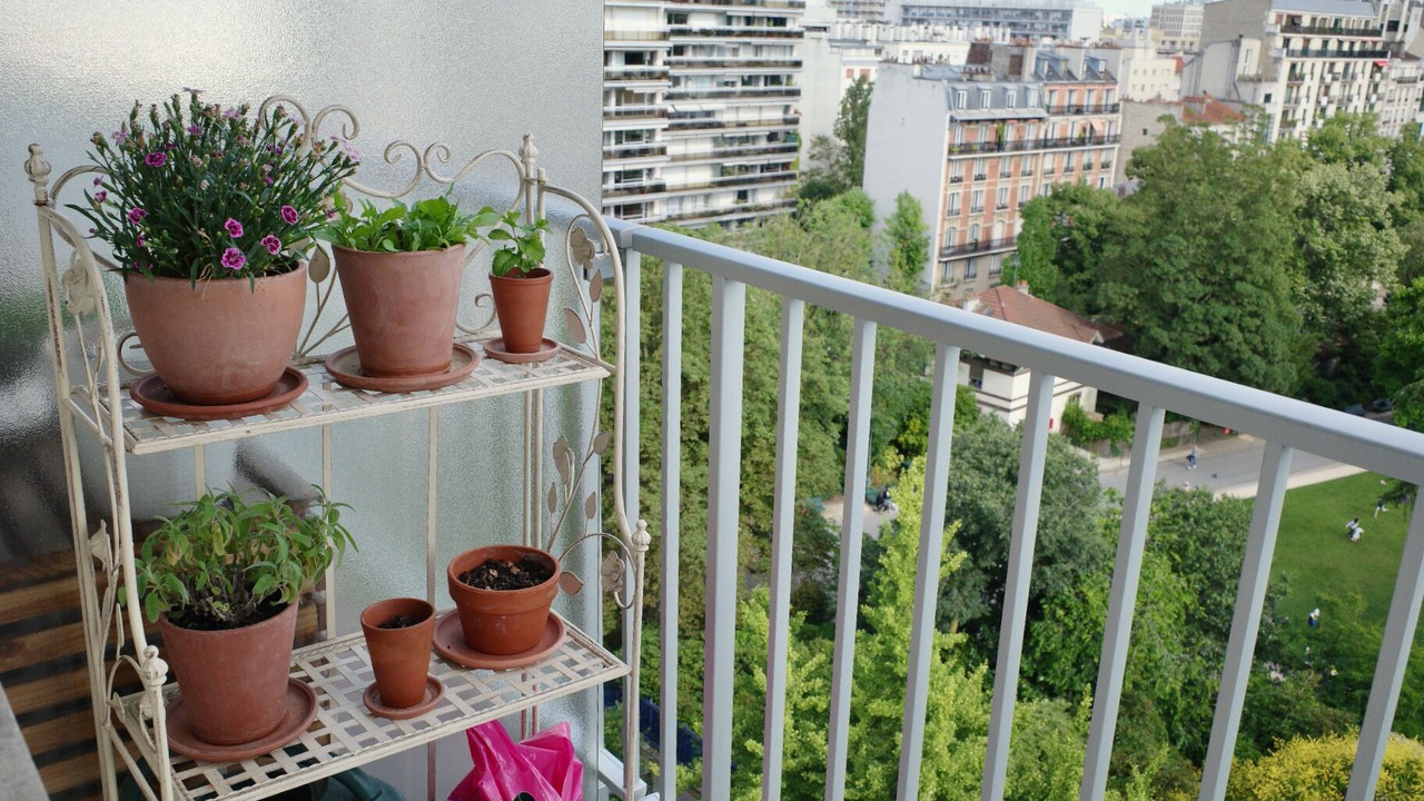 Photo of Outdoor in Parc-de-Montsouris